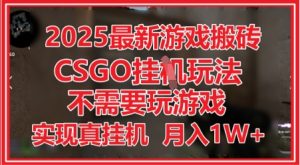 2025最新游戏搬砖,CSGO挂G,不需要玩游戏,实现真挂G,月入1W+【揭秘】-一起网赚吧