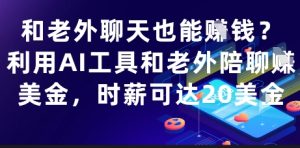和老外聊天也能挣钱？利用AI工具和老外陪聊挣美金，时薪可达20刀-一起网赚吧