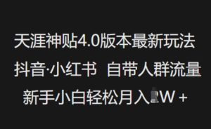 天涯神贴4.0版本最新玩法，抖音·小红书自带人群流量，新手小白轻松月入过W-一起网赚吧