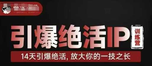 引爆绝活IP训练营，14天引爆绝活，放大你的一技之长-一起网赚吧