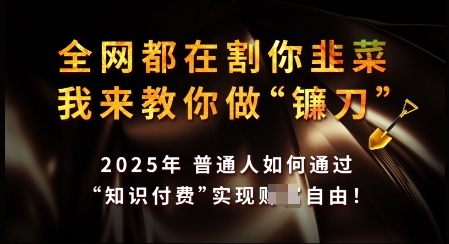 知识付费如何做到月入过W+，2025我来教你做“镰刀”【揭秘】-一起网赚吧