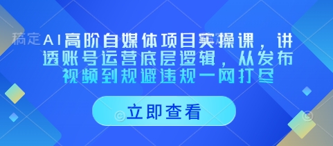 AI高阶自媒体项目实操课，讲透账号运营底层逻辑，从发布视频到规避违规一网打尽-一起网赚吧