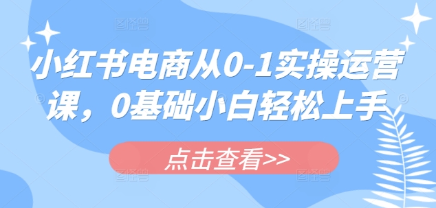 小红书电商从0-1实操运营课，0基础小白轻松上手-一起网赚吧