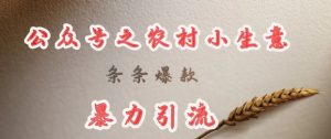 deepseek写农村小项目，条条爆款，暴力引流-一起网赚吧