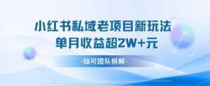 小红书私域项目新玩法,单月变现过W+-一起网赚吧