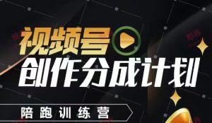 视频号创作分成计划陪跑训练营，手把手教会你如何制作视频，细水长流型项目-一起网赚吧