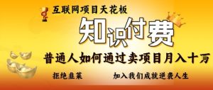互联网项目天花板,知付付费项目,普通人如何通过卖项目月入十个,拒绝韭菜【揭秘】-一起网赚吧