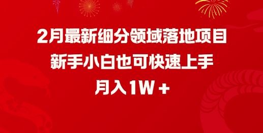 2月最新细分领域落地项目，新手小白也可快速上手，月入1W-一起网赚吧