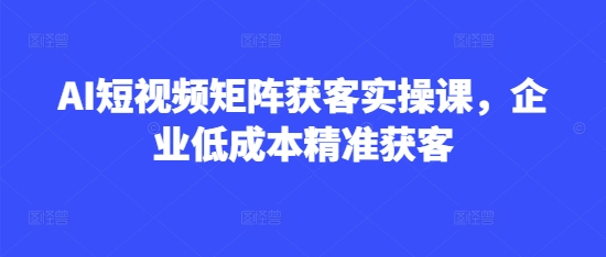 AI短视频矩阵获客实操课，企业低成本精准获客-一起网赚吧