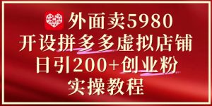 外面卖5980开设拼多多虚拟店铺:单日引流200+创业付费粉实战教程-一起网赚吧