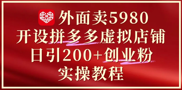 外面卖5980开设拼多多虚拟店铺：单日引流200+创业付费粉实战教程-一起网赚吧
