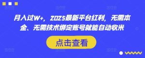 月入过W+,2025最新平台红利,无需本金、无需技术绑定账号就能自动收米-一起网赚吧