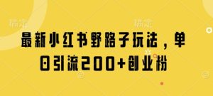 最新小红书野路子玩法，单日引流200+创业粉-一起网赚吧