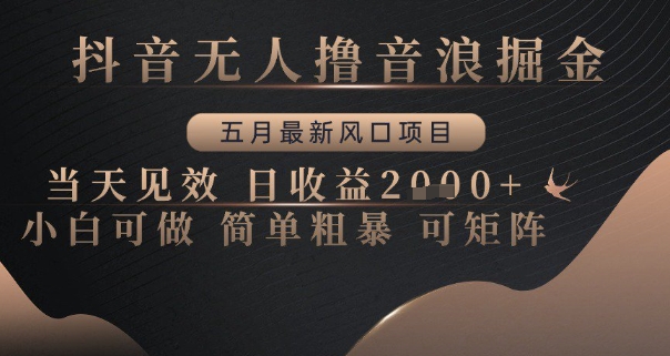 抖音无人撸音浪掘金，五月最新风口项目，当天见效，日收益多张，小白可做简单粗暴可矩阵【揭秘】-一起网赚吧