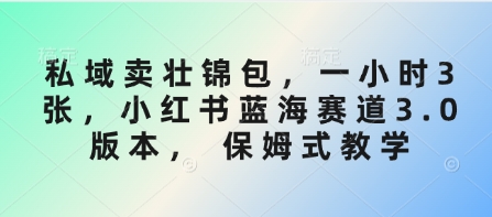 私域卖壮锦包，一小时3张，小红书蓝海赛道3.0版本， 保姆式教学-一起网赚吧