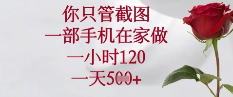 你只管截图，一部手机在家做，苹果安卓都可以，一小时120，一天5张+【揭秘】-一起网赚吧