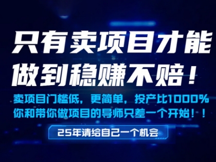 只有卖项目才能做到稳挣不赔，门槛低，更简单，你也可以年入百个W【揭秘】-一起网赚吧