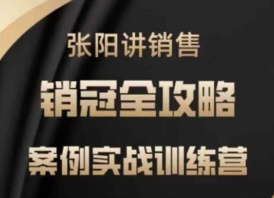 张阳讲销售实战训练营，​案例实战训练，销冠全攻略-一起网赚吧