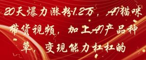 20天爆力涨粉1.2W，AI猫咪带货视频，加上AI产品种草，变现能力杠杠的-一起网赚吧