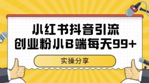 小红书抖音创业粉，小B端粉自热，日引99+的一个玩法【揭秘】-一起网赚吧