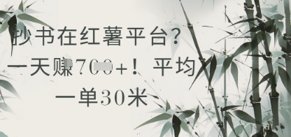 抄书在小红薯平台？平均一单30米，一天收益几张！-一起网赚吧