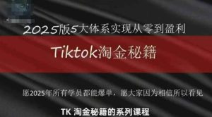 TikTok跨境2025淘金秘籍，​2025TikTok从0到盈利变现-一起网赚吧