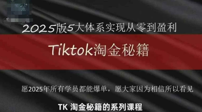 TikTok跨境2025淘金秘籍，​2025TikTok从0到盈利变现-一起网赚吧
