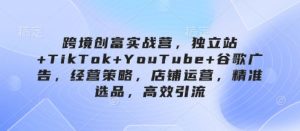 跨境创富实战营，独立站+TikTok+YouTube+谷歌广告，经营策略，店铺运营，精准选品，高效引流-一起网赚吧