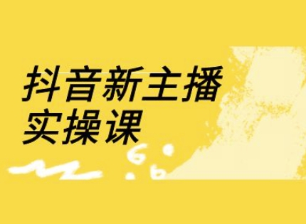 抖音新主播实操课，直播间流量运营线上实操课(18节)-一起网赚吧