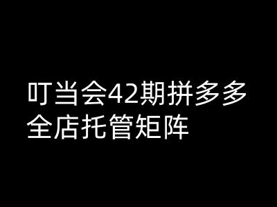 叮当会拼多多打爆班原创高阶技术第42期，拼多多全店托管矩阵-一起网赚吧