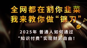 全网都在割你韭菜，我来教你做镰刀，2025普通人如何通过知识付费，实现财F自由【揭秘】-一起网赚吧