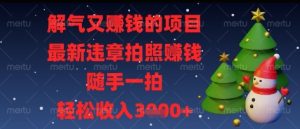 解气又挣钱的项目，最新违章拍照挣钱，随手一拍，轻松收入多张【揭秘】-一起网赚吧