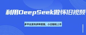 利用DeepSeek做怀旧视频，流量号多渠道变现能力强-一起网赚吧