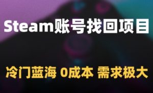 Steam账号找回项目,冷门蓝海,0成本,需求极大-一起网赚吧