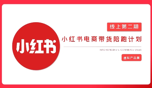 2025小红书虚拟电商实战课，从0到1打造无货源店铺，AI+爆款笔记轻松变现-一起网赚吧