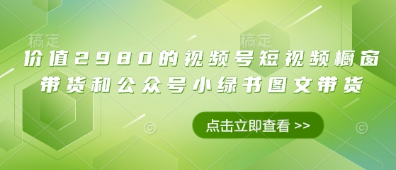 价值2980的视频号短视频橱窗带货和公众号小绿书图文带货-一起网赚吧
