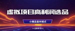 虚拟项目高利润选品方法,做好单店利润1W+,可多店倍增利润-一起网赚吧