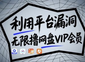 利用平台漏洞,无限撸网盘VIP会员,用户亲测有效!【漏洞原理+操作演示】-一起网赚吧