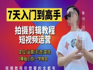 7天入门到高手，短视频剪辑运营高手课，定位 运营 引|流 变现，0基础小白一学就会-一起网赚吧