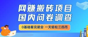 网创搬砖项目，国内问卷调查，小白轻松上手，一天三四张的也不难，干就完了【揭秘】-一起网赚吧