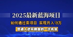 2025蓝海项目，普通人如何通过卖项目，实现月入过W，全过程【揭秘】-一起网赚吧