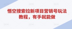 悟空搜索拉新项目营销号玩法教程，有手就能做-一起网赚吧