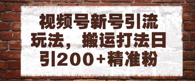 视频号新号引流玩法，搬运打法日引200+精准粉，可矩阵放大【揭秘】-一起网赚吧