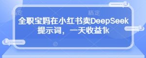 全职宝妈在小红书卖DeepSeek提示词，一天收益1k-一起网赚吧