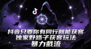 抖音只要你有同行就能获客,独家野路子获客玩法,暴力截流【揭秘】-一起网赚吧