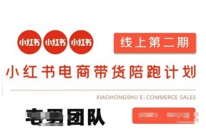 小红书电商带货课2期，月利润20个的小红书电商的有货源，无货源，虚拟产品，付费投流等整套玩法-一起网赚吧