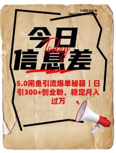 5.0闲鱼引流爆单秘籍，日引300+创业粉，稳定月入过W-一起网赚吧