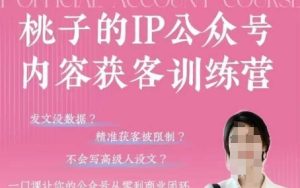 桃子IP公众号内容获客训练营(第3期)，一门让你公众号从0到商业闭环的课程-一起网赚吧