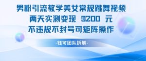 男粉引流教学美女常规跳舞视频两天实测变现1k+，不违规不封号可矩阵操作-一起网赚吧