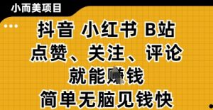 小而美的项目，抖音小红书B站视频点赞、关注、评论就能挣钱，简单无脑立见收益，妥妥的零撸项目【揭秘】-一起网赚吧